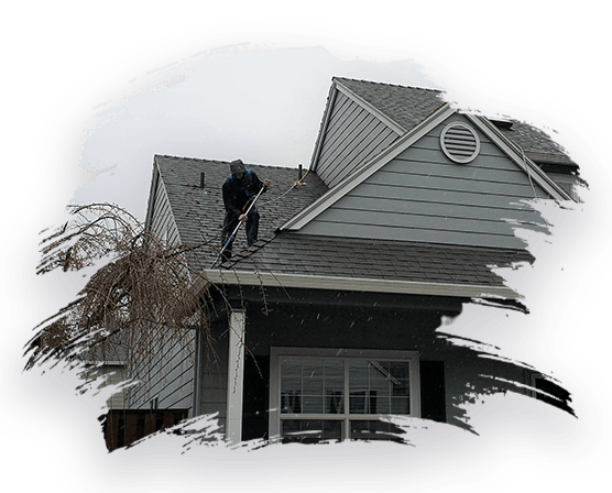 Gutter Cleaning Service Near Me 5