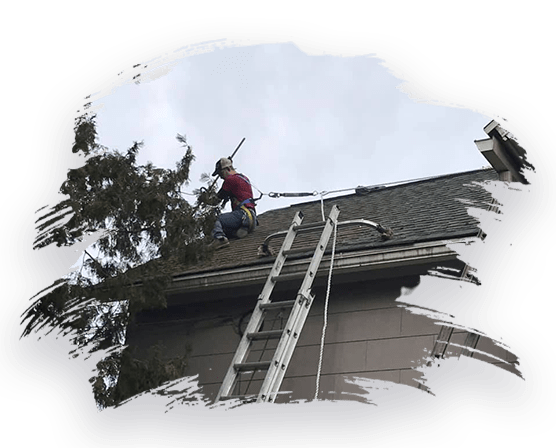 Roof Cleaning Service Near Me 2